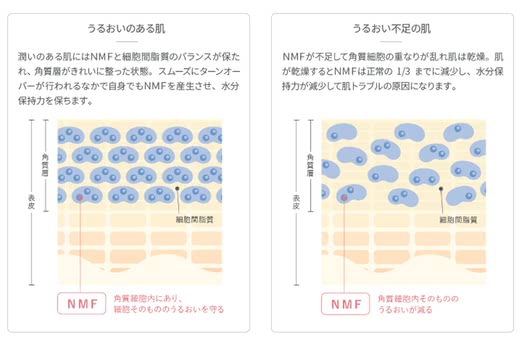 ホメオバウローション口コミ