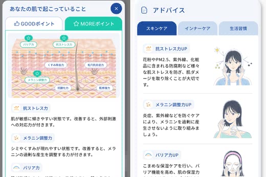 ファンケルの肌診断結果
