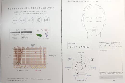 ファンケルの肌診断結果
